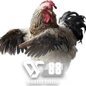 YONO 777 Sports Betting Platform